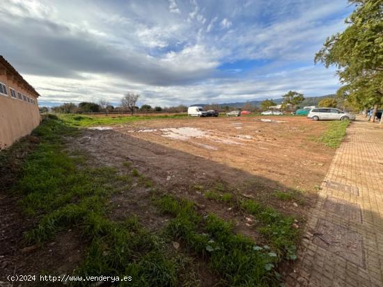 TERRENO URBANIZABLE EN BINISSALEM - BALEARES