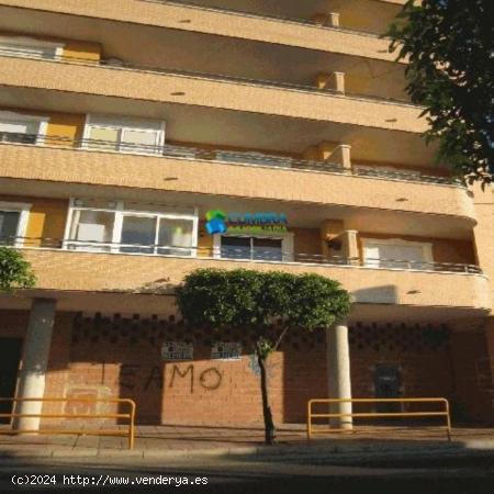 ALQUILA LOCAL COMERCIAL CALLE MAYOR - MURCIA