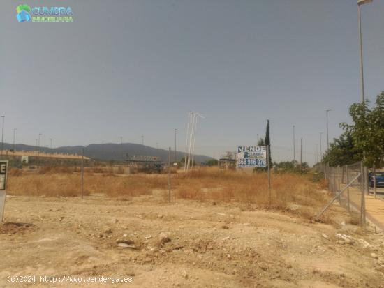 PARCELA EN RESIDENCIAL EL SEÑORIO - MURCIA