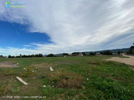 FINCA UBICADA EN PARAJE DE TORREGUIL - MURCIA