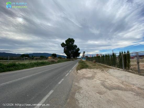 FINCA UBICADA EN PARAJE DE TORREGUIL - MURCIA