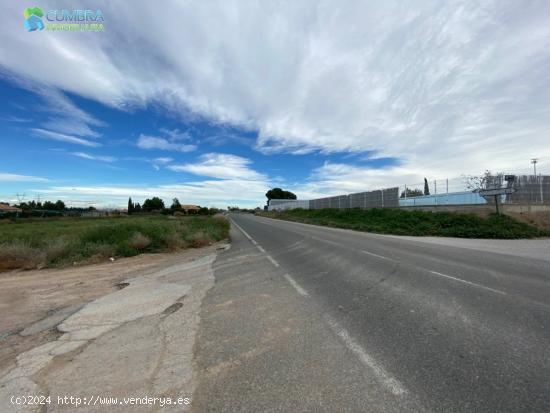 FINCA UBICADA EN PARAJE DE TORREGUIL - MURCIA