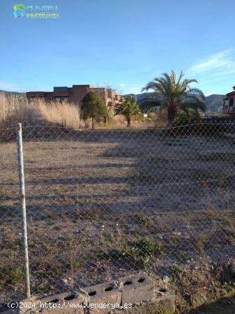 PARCELA EN LA HUERTA DE MURCIA A UN PASO DEL CENTRO - MURCIA