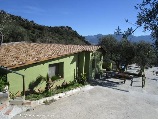 CASA DE CAMPO CON MUY BUENAS VISTAS. ZONA MUY TRANQUILA. IDEAL PARA DESCONECTAR. - MALAGA