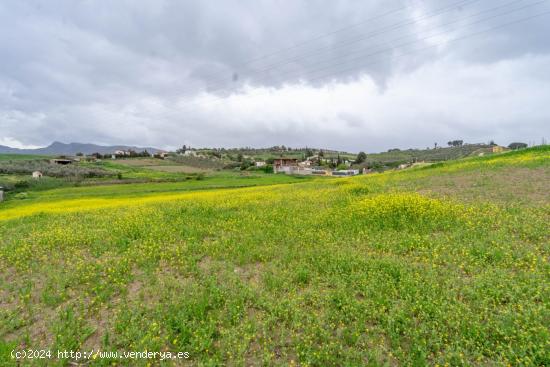  TERRENO RÚSTICO CON RAPIDO ACCESO A CARRETERA2 ESCRITURAS - MALAGA 