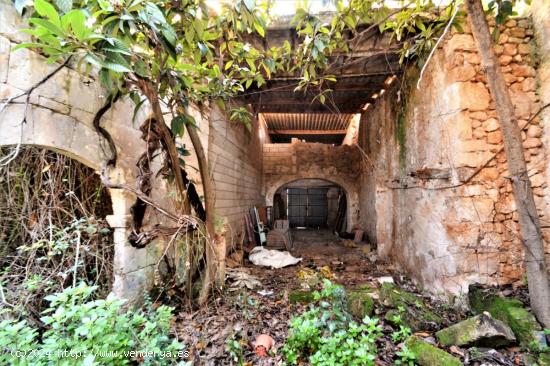 Casa en el centro de Muro con mucho carácter mallorquín, jardín y garaje. - BALEARES