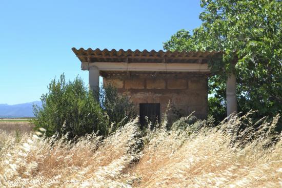 Conjunto de parcelas a la venta en Muro a poca distancia de la playa y maravillosas vistas. - BALEAR