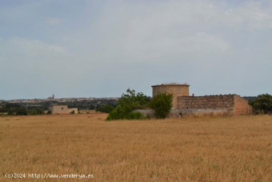 Finca de grandes dimensiones y con maravillosas vistas en venta en Muro. - BALEARES