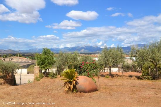 Increíble terreno de 1110 m2   urbanos con vistas a la Tramuntana. - BALEARES