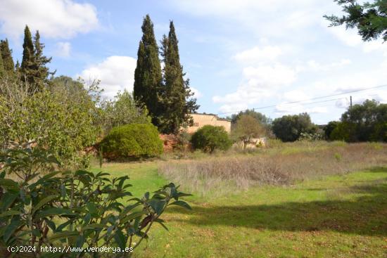  Finca rústica en Muro - BALEARES 