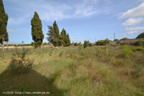 Finca rústica en Muro - BALEARES