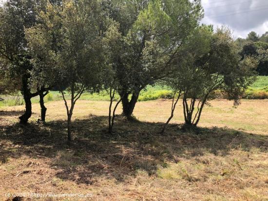 Parcela sin vecinos en zona tranquila de Sant quirze de safaja - BARCELONA