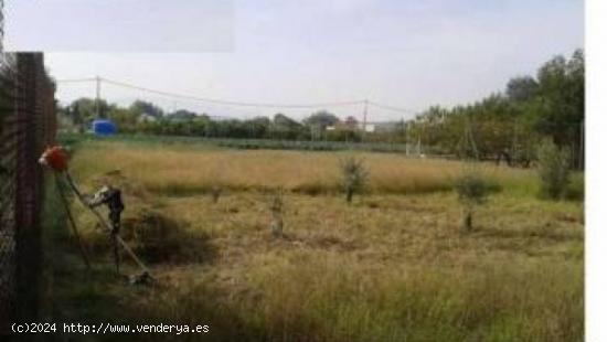 Terreno industrial en venta en Torrealta - MURCIA