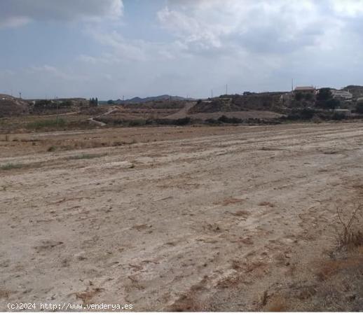 TERRENO RURAL EN CAÑAR SALADO (fENAZAR) - MURCIA