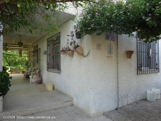 CASA CON AMPLIA PARCELA EN EL FENAZAR - MURCIA