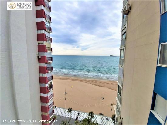 Precioso piso de 3 dormitorios en 1ª línea de playa Levante. - ALICANTE