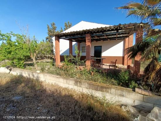 ¡CASA CON PARCELA EN PLENA VEGA DE ANTEQUERA! - MALAGA