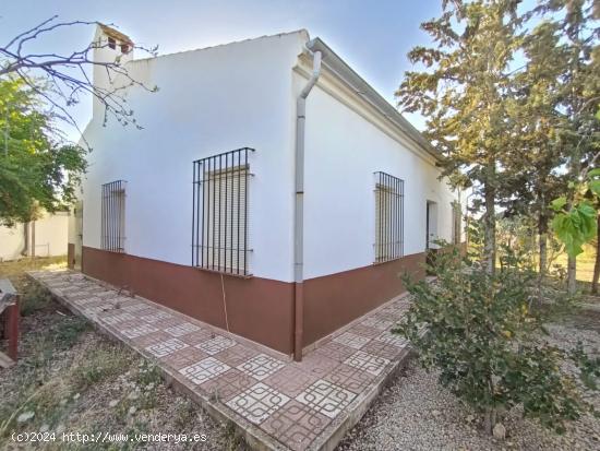 ¡CASA CON PARCELA EN PLENA VEGA DE ANTEQUERA! - MALAGA