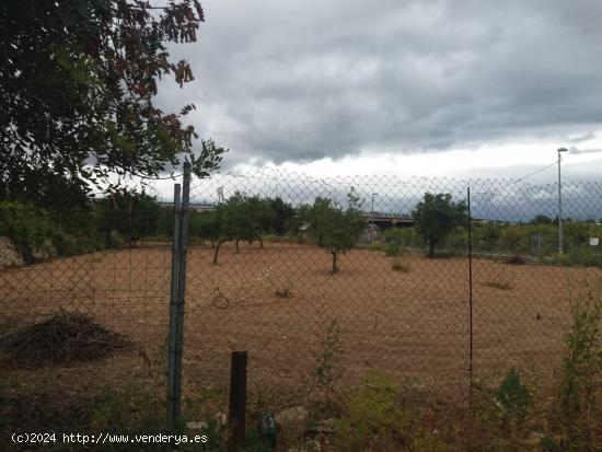 PARCELA RUSTICA DE 2000 M2 EN PARTIDA ALMAFRA EN BENIDORM - ALICANTE