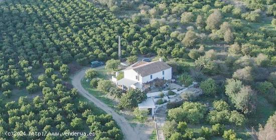 FINCAS DE REGADÍO EN ÁLORA. MÁLAGA - MALAGA