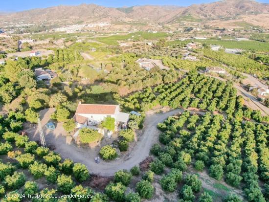 FINCAS DE REGADÍO EN ÁLORA. MÁLAGA - MALAGA