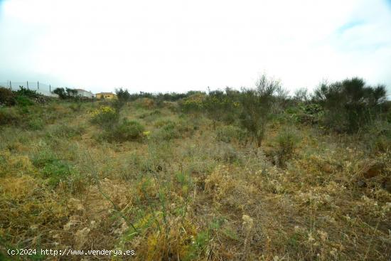 Terreno de Asentamiento Rural CON PROYECTO de 1.414m2 en Llano de Moro - SANTA CRUZ DE TENERIFE