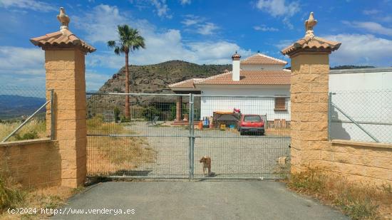 Oportunidad, gran finca con vivienda en Àlora, Malaga. - MALAGA