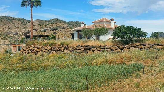 Oportunidad, gran finca con vivienda en Àlora, Malaga. - MALAGA