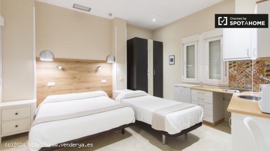 Agradable apartamento en alquiler en el centro de Madrid - MADRID
