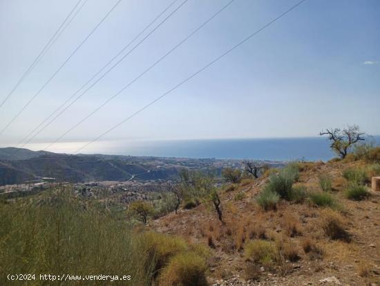 Terreno junto La Zenaida - MALAGA