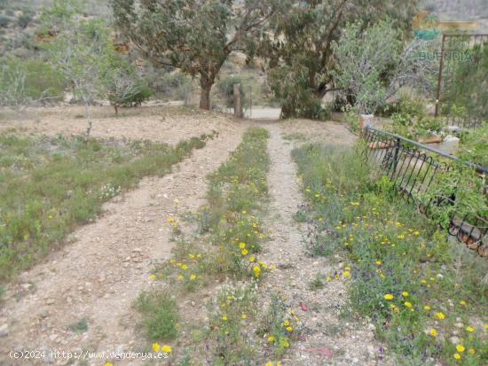 FINCA VALLADA CON AGUA Y FACILIDAD PARA ELECTRICIDAD - MURCIA