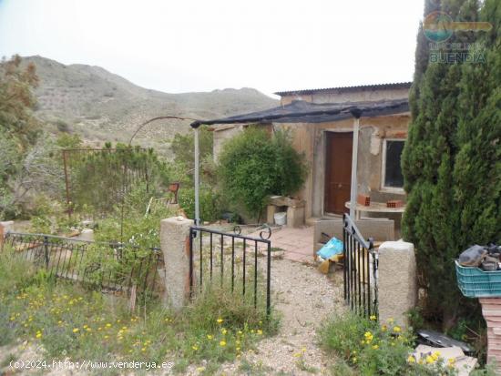 FINCA VALLADA CON AGUA Y FACILIDAD PARA ELECTRICIDAD - MURCIA