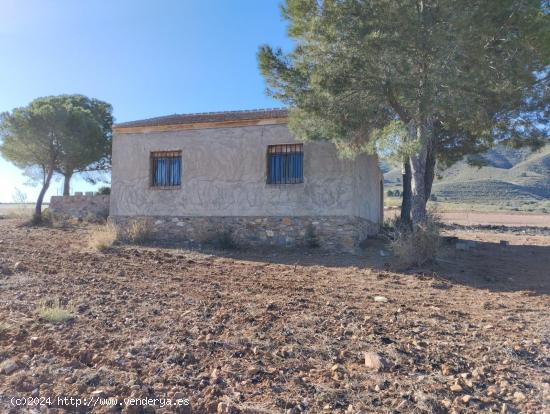 Finca con Casa - Raiguero Alto, Totana - MURCIA