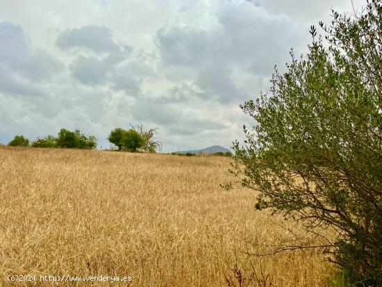 Parcela con Vistas Panorámicas para edificar! - BALEARES