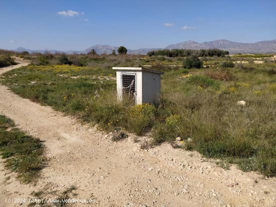 SE VENDE PARCELA RÚSTICA EN ALBATERA - ALICANTE