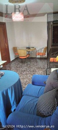 Vivienda de tres dormitorios a buen precio. - Bailén