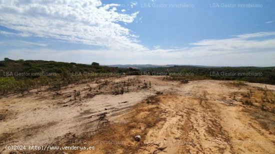 SE VENDE PARCELA RUSTICA EN URBANIZACIÓN URMAROSA - Guarromán