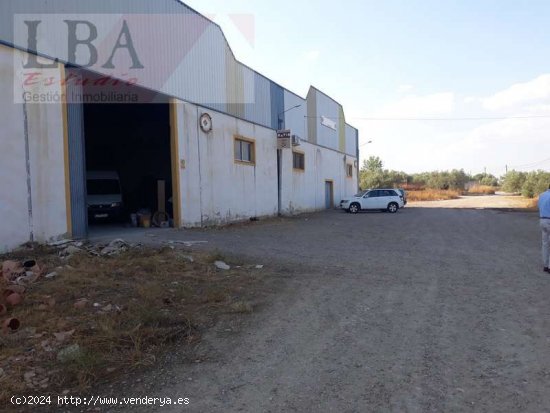 NAVE INDUSTRIAL A PIE DE CARRETERA - Bailén