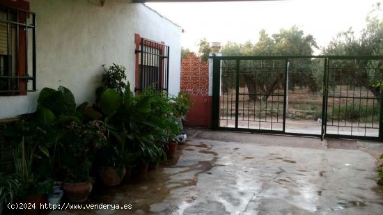 Chalet por carretera de Angulo. - Bailén