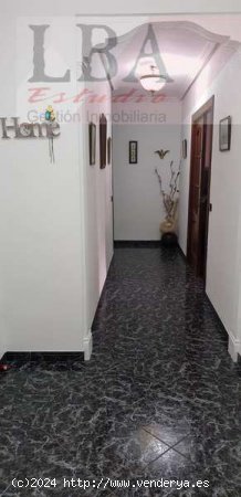 PISO DE 3 DORMITORIOS EN PLANTA BAJA - Bailén