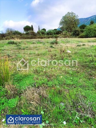 Parcela en Venta en Alhaurin El Grande Málaga