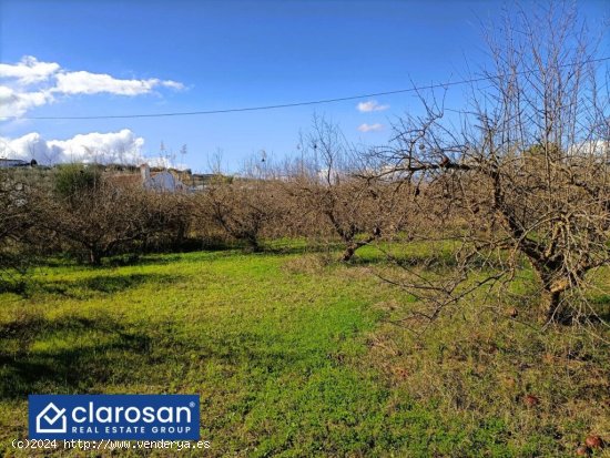 Casa de campo-Masía en Venta en Alhaurin El Grande Málaga