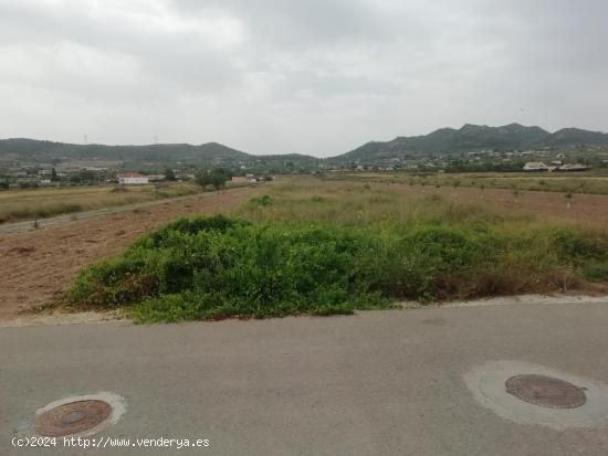 Parcela en Hondón de los Frailes - ALICANTE