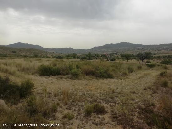 Terreno en Hondón de los Frailes - ALICANTE