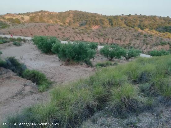  Finca rustica en Macisvenda - MURCIA 