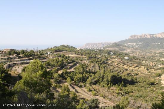 Se vende Terreno rustico en Benissa - ALICANTE