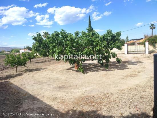 TERRENO A LA VENTA EN ONTINYENT UBICADO ZONA EL LLOMBO - VALENCIA