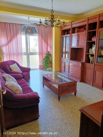 SE VENDE PISO EN ZONA CENTRO CON ASCENSOR - CADIZ