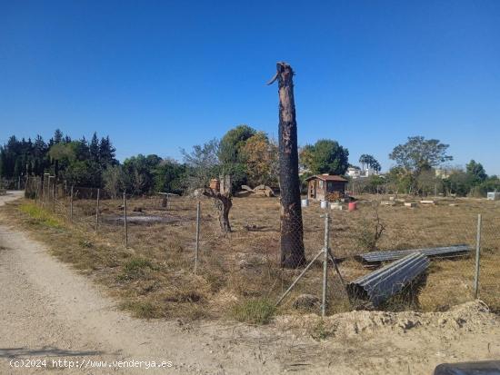  Un Refugio en la Naturaleza: Terreno de 2200 metros en Las Torres de Cotillas para Tu Casa de Ensu 