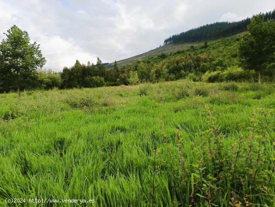 Venta  terreno rustico en Okondo - ALAVA